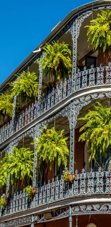 New Orleans - French Quarter